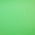 Chroma Green Vinyl Background H132910
