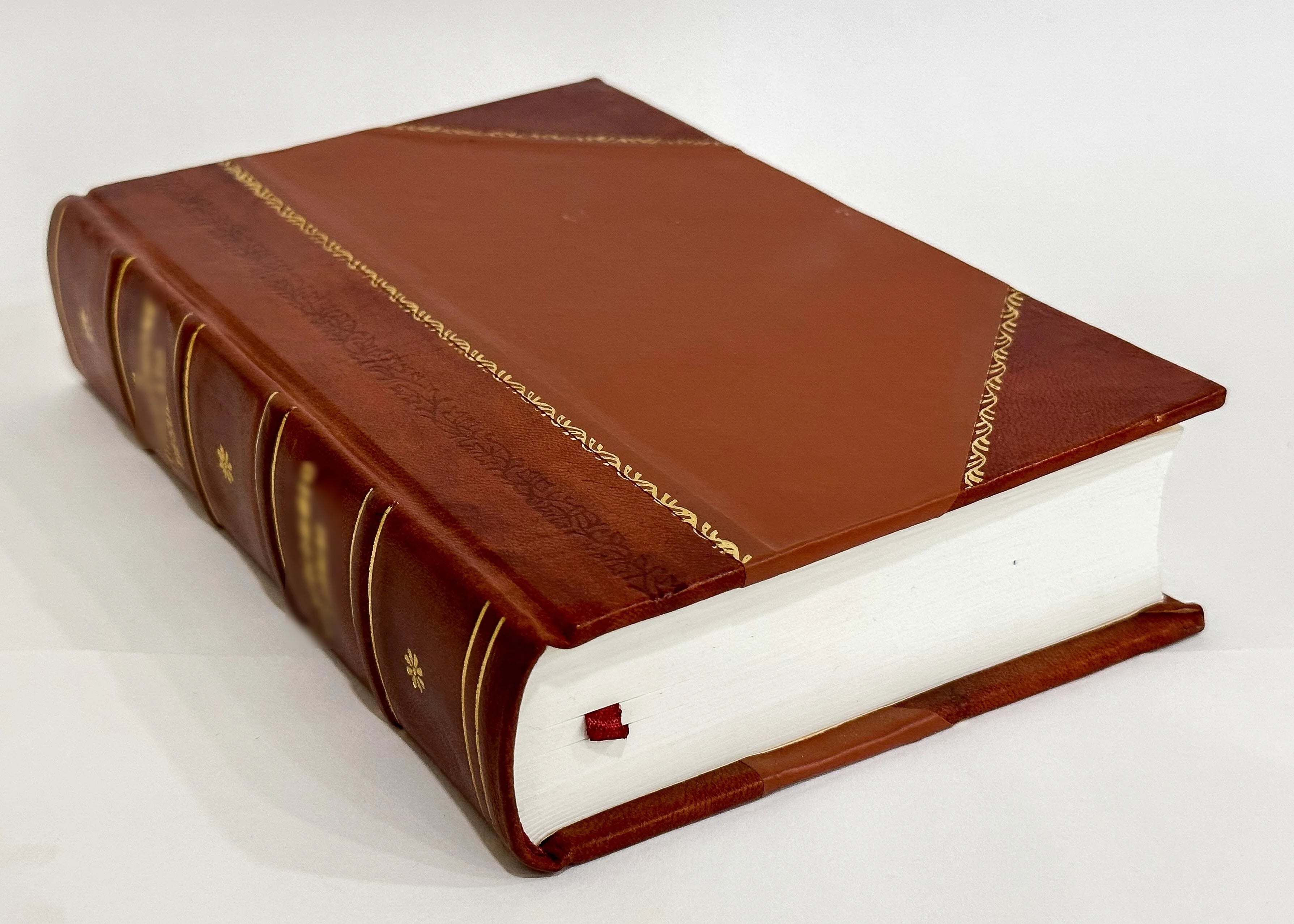 Leather Bound Book C4824