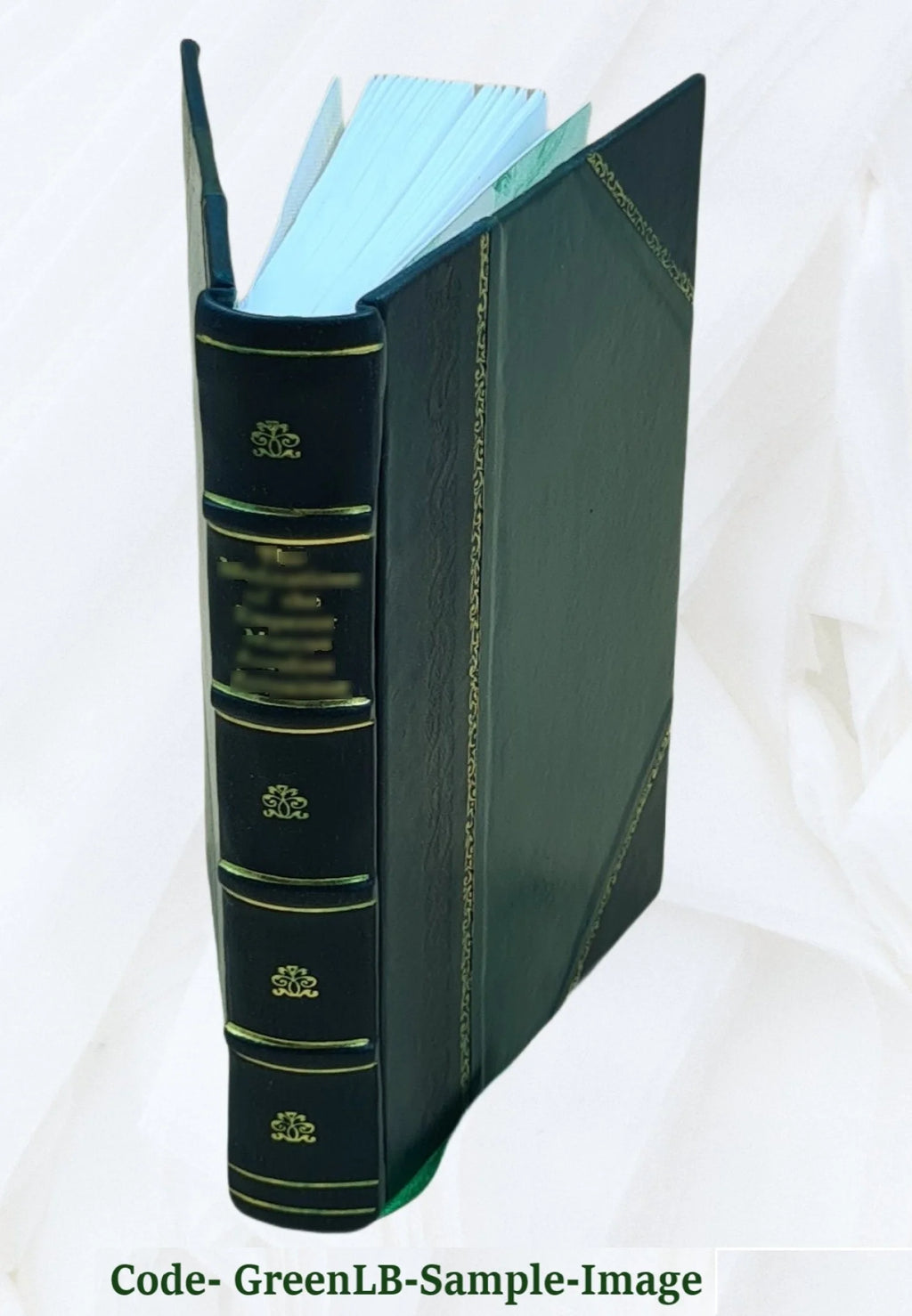 Leather Bound Book N944678