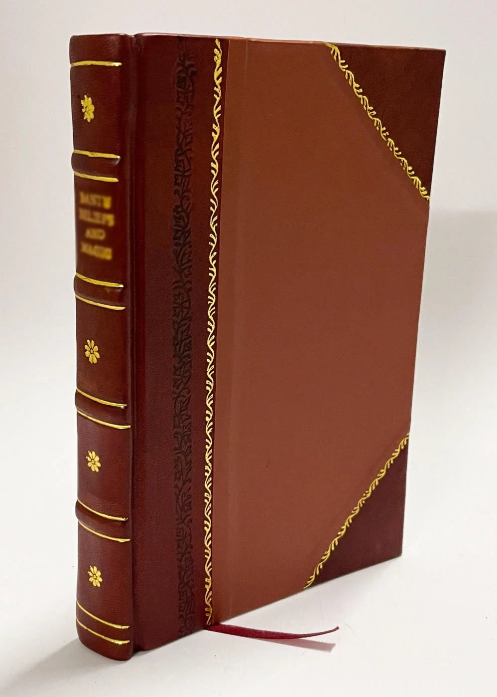Leather Bound Book V254