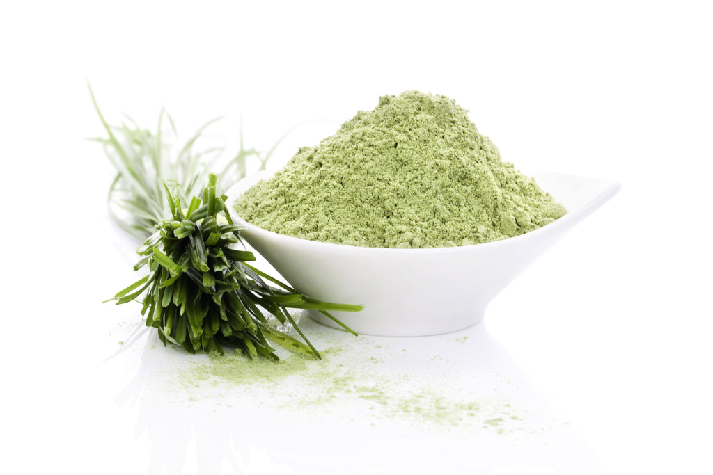 Organic Barley Grass Powder 55 lbs A153357