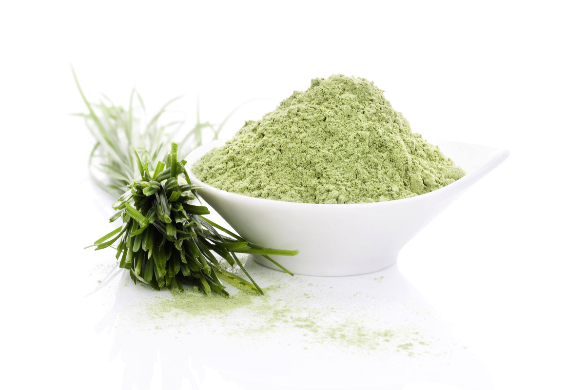 Organic Barley Grass Powder 55 lbs A153357