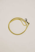 Chartreuse Dog Leash D97054