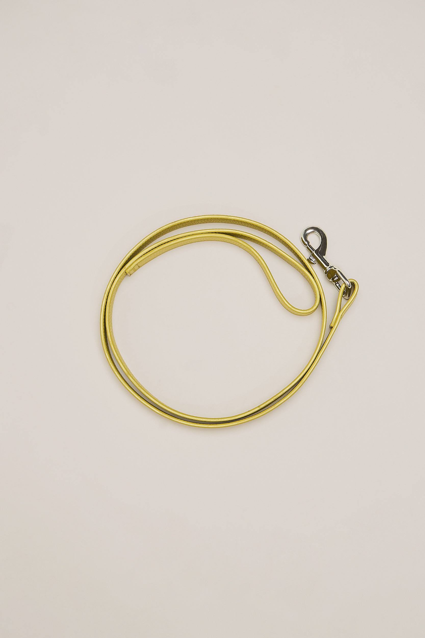 Chartreuse Dog Leash D97054