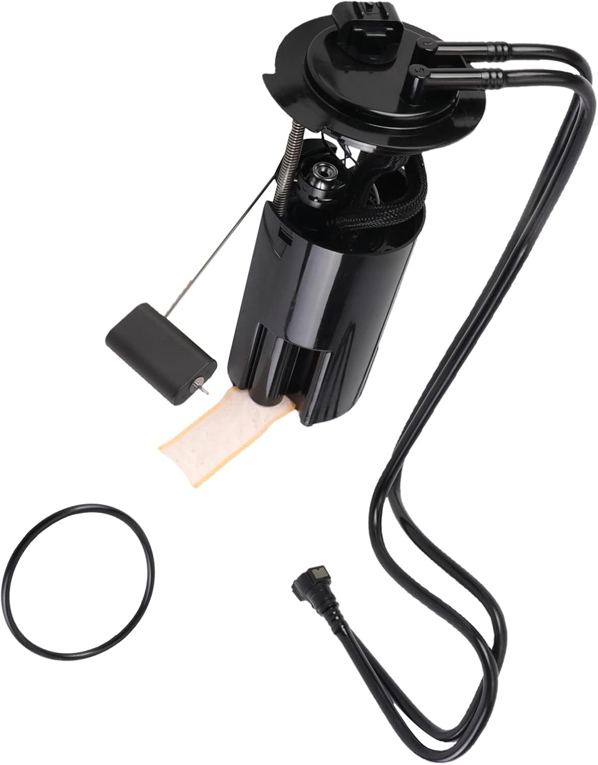 Fuel Pump Module Assembly Pack of 2 V58832