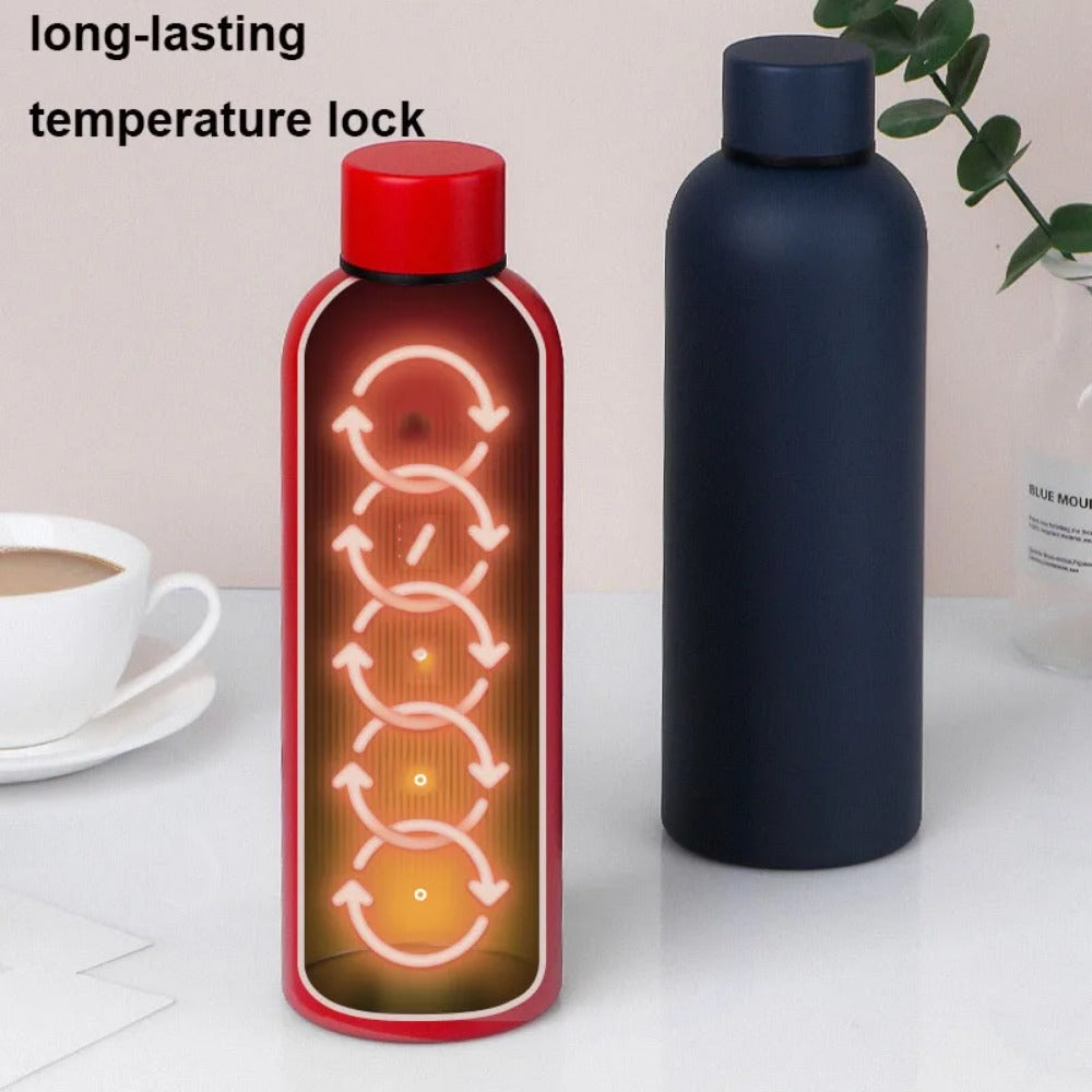 17.6 oz Stainless Steel Insulated Thermos Bottle X952841