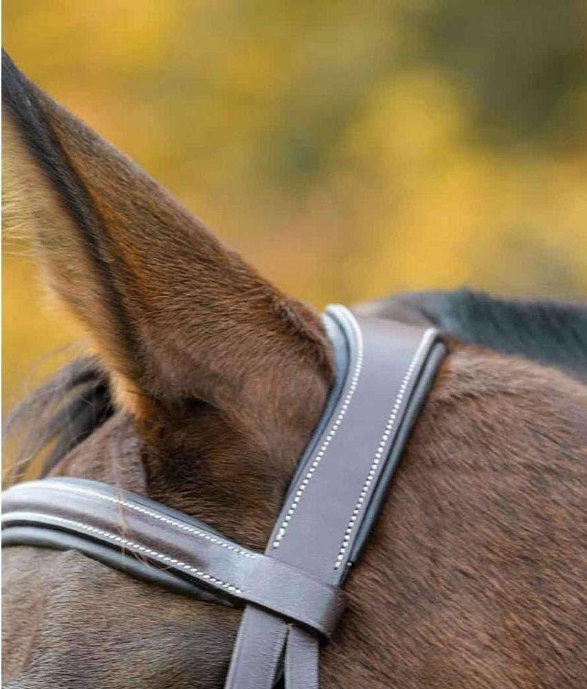 Ocala Bridle H48304