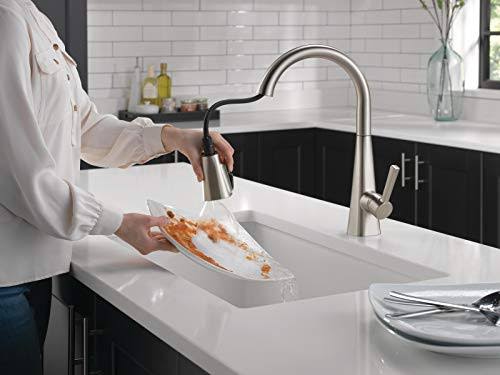 Single-Handle Pull-Down Kitchen Faucet, SpotShield Stainless L166