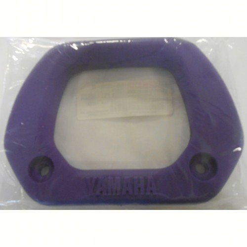 Grip, Assist I56800
