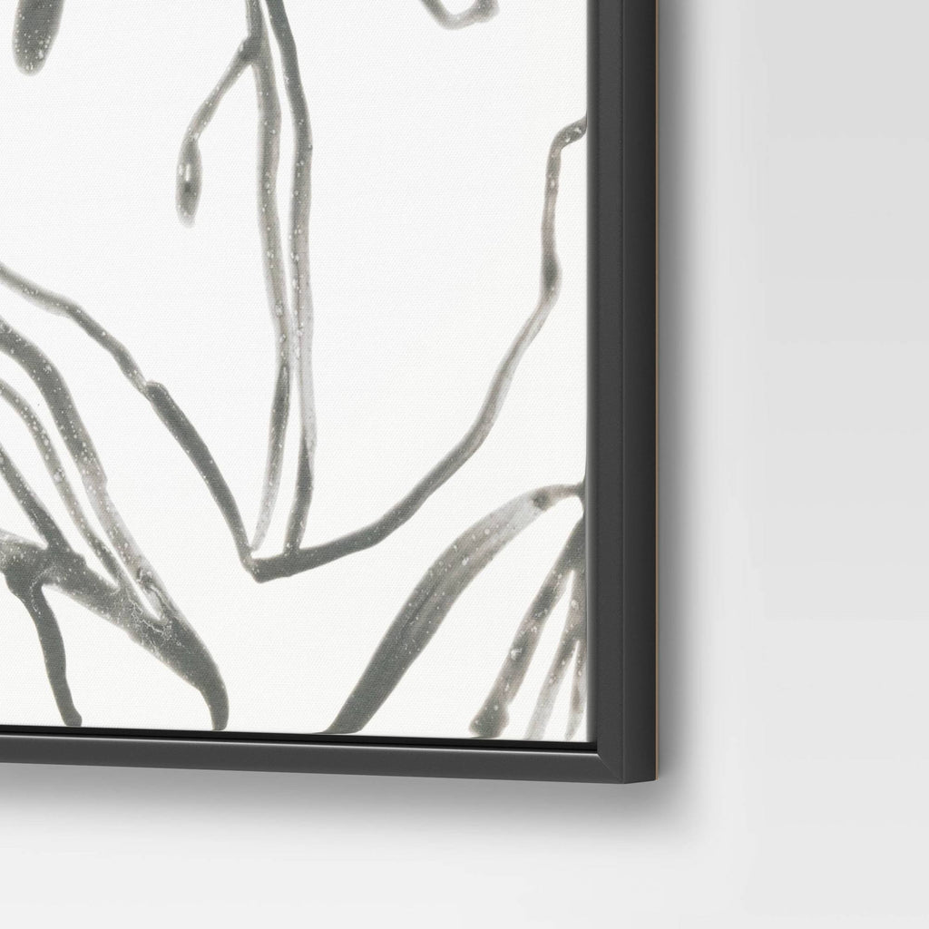Botanical Sketch Framed Wall Canvas White/Black I586971