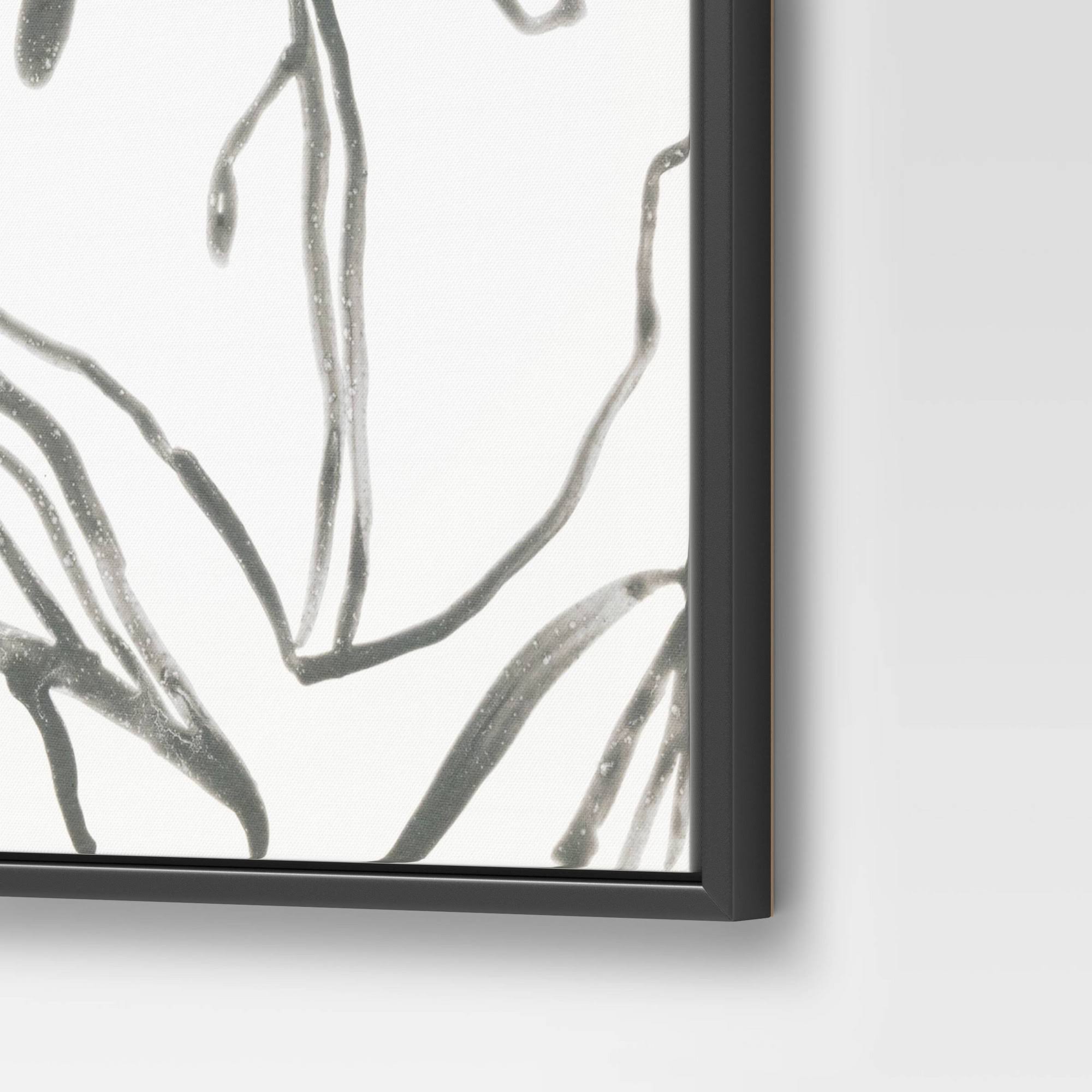 Botanical Sketch Framed Wall Canvas White/Black I586971