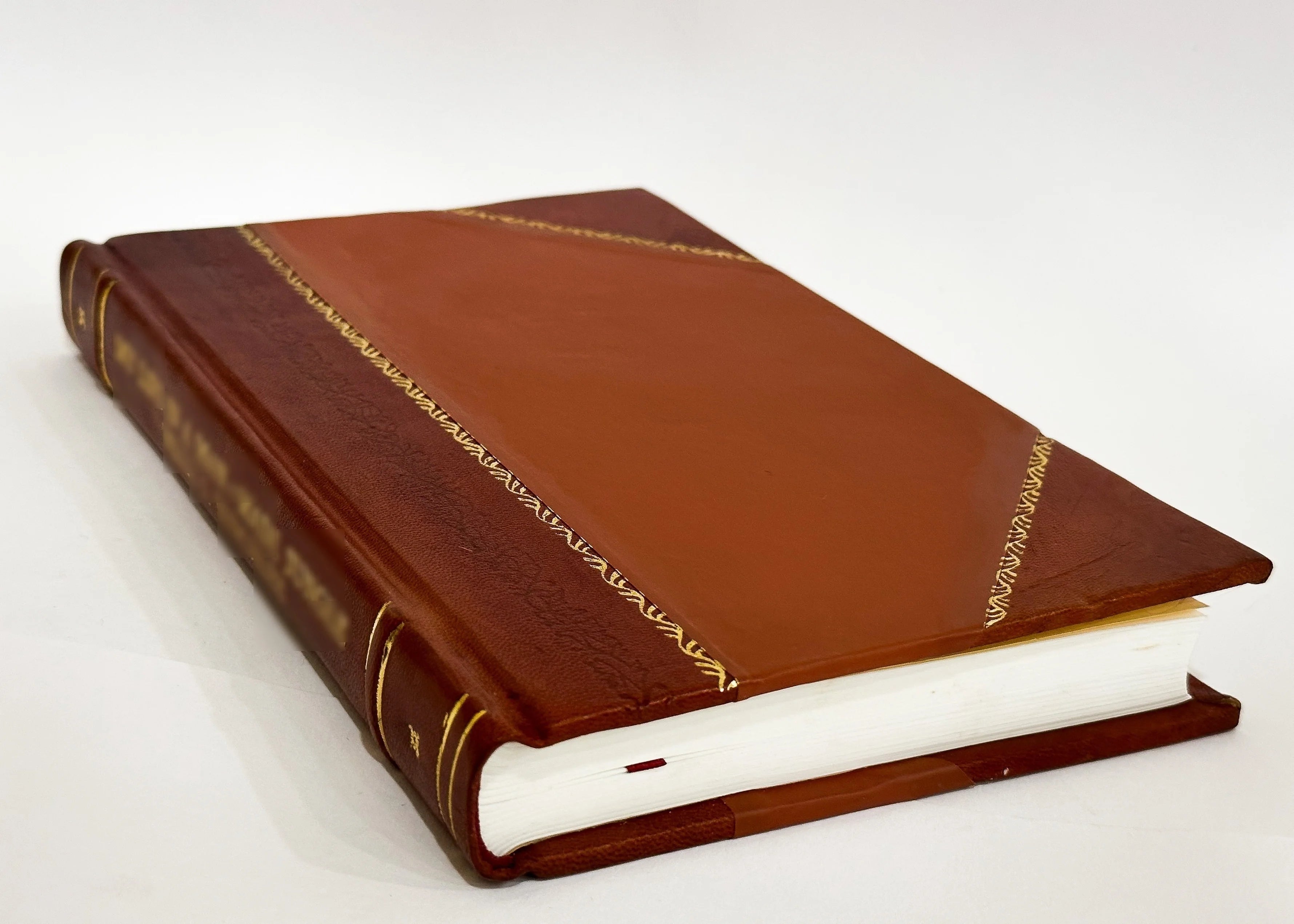 Hunting, Gardner (1909) [Leather Bound] K860