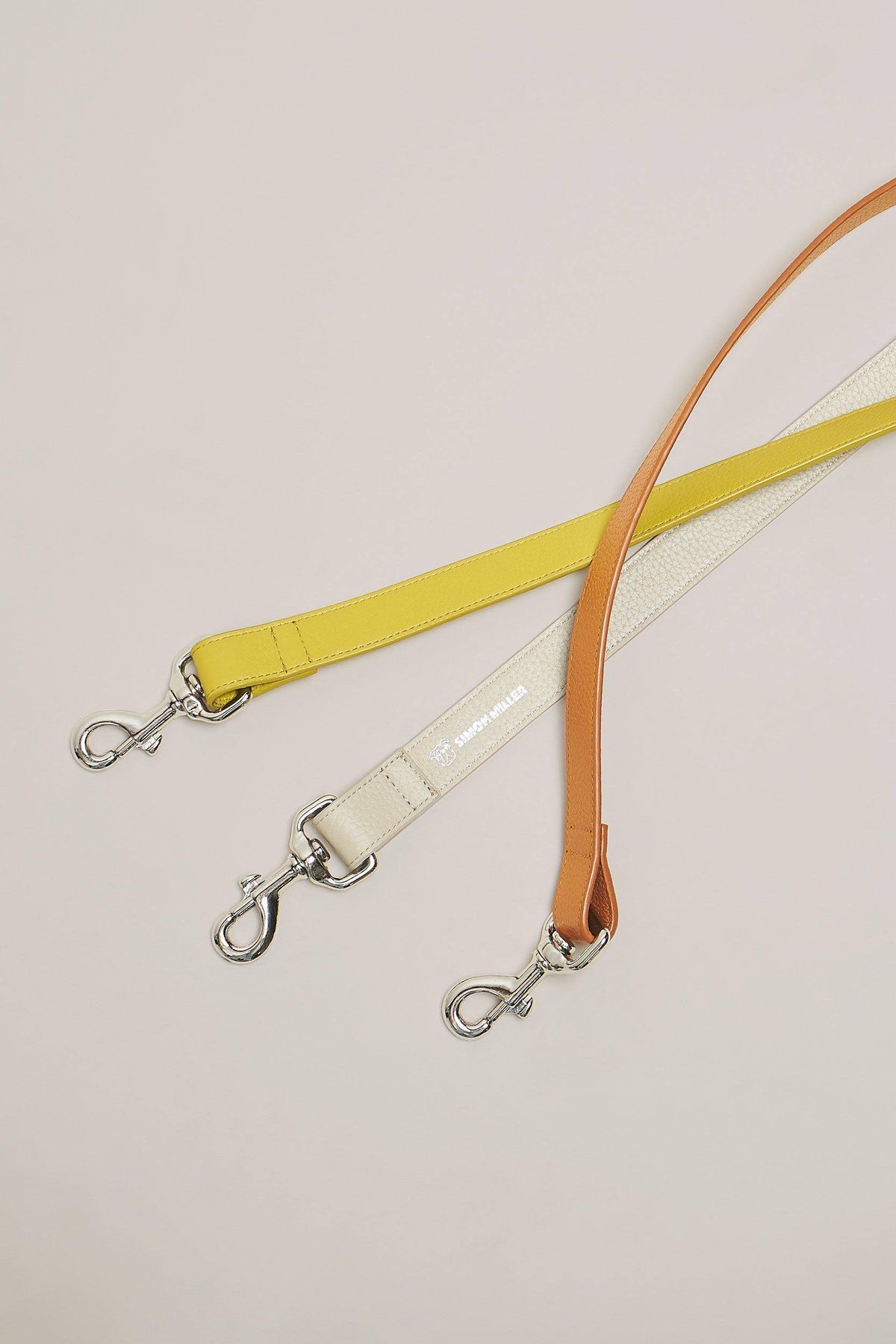 Chartreuse Dog Leash D97054