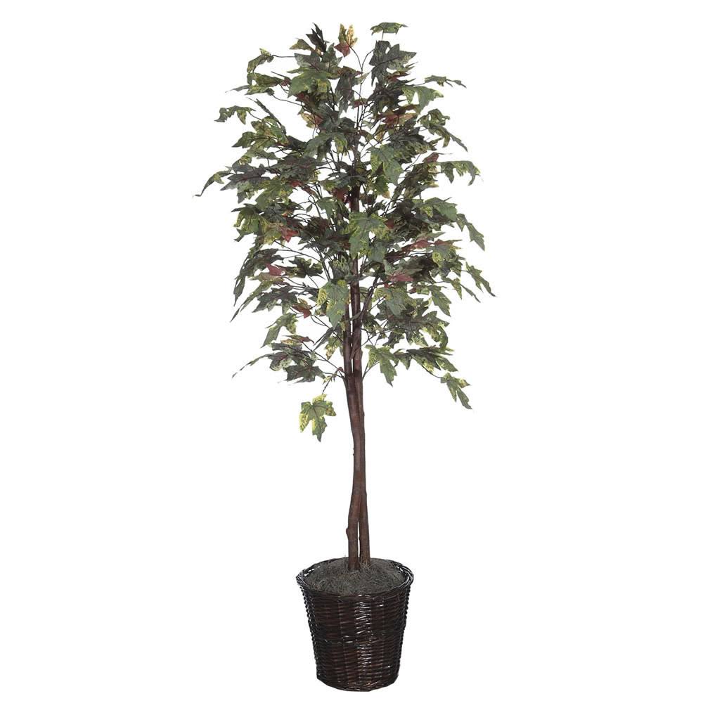 6 ft Frosted Maple Tree V295514