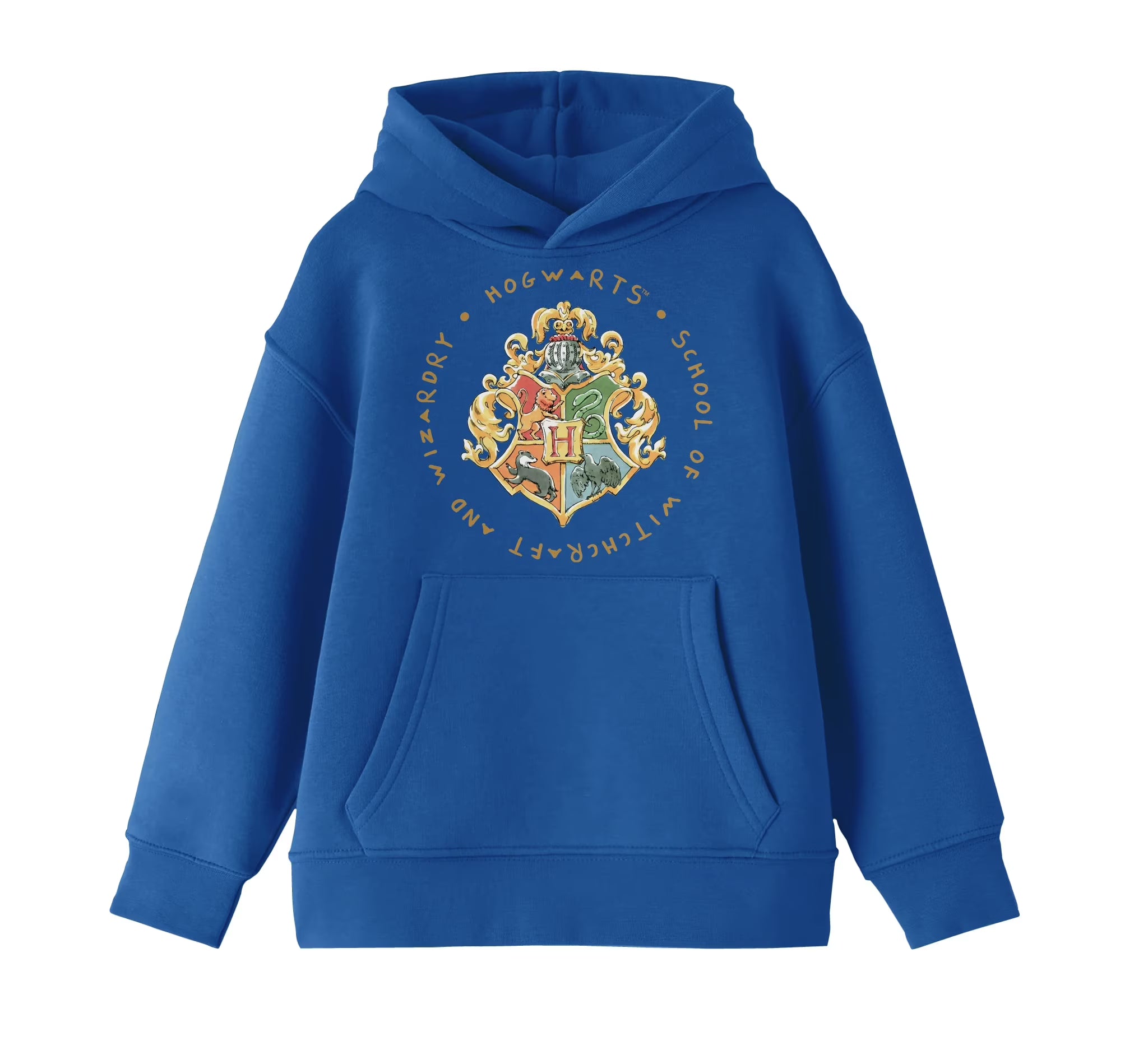 Royal Blue Sweatshirt M221