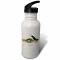 21 oz Sports Water Bottle D343