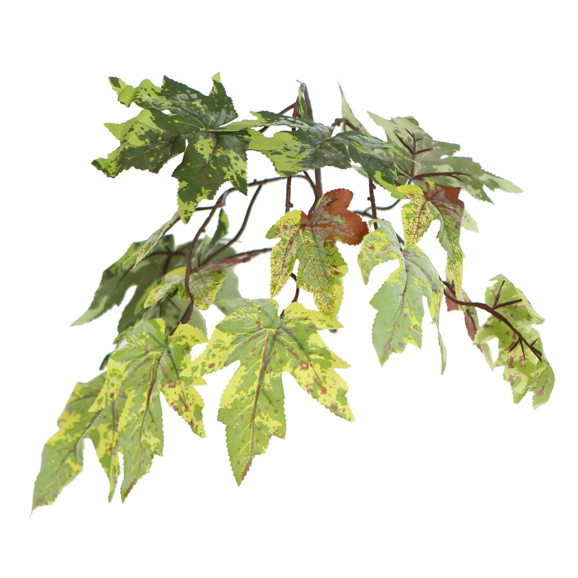 6 ft Frosted Maple Tree V295514