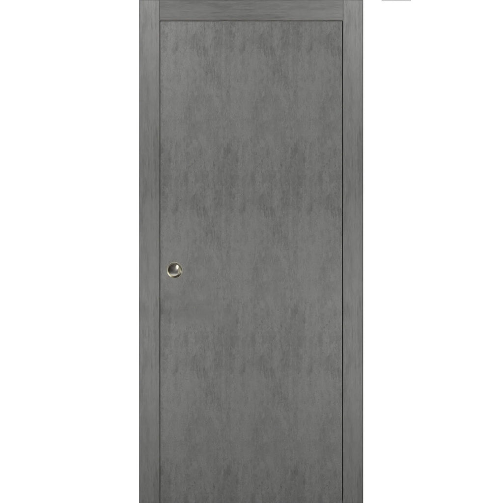 Sliding French Pocket Door 36 x 84 inches Solid Wood Interior Door T97682