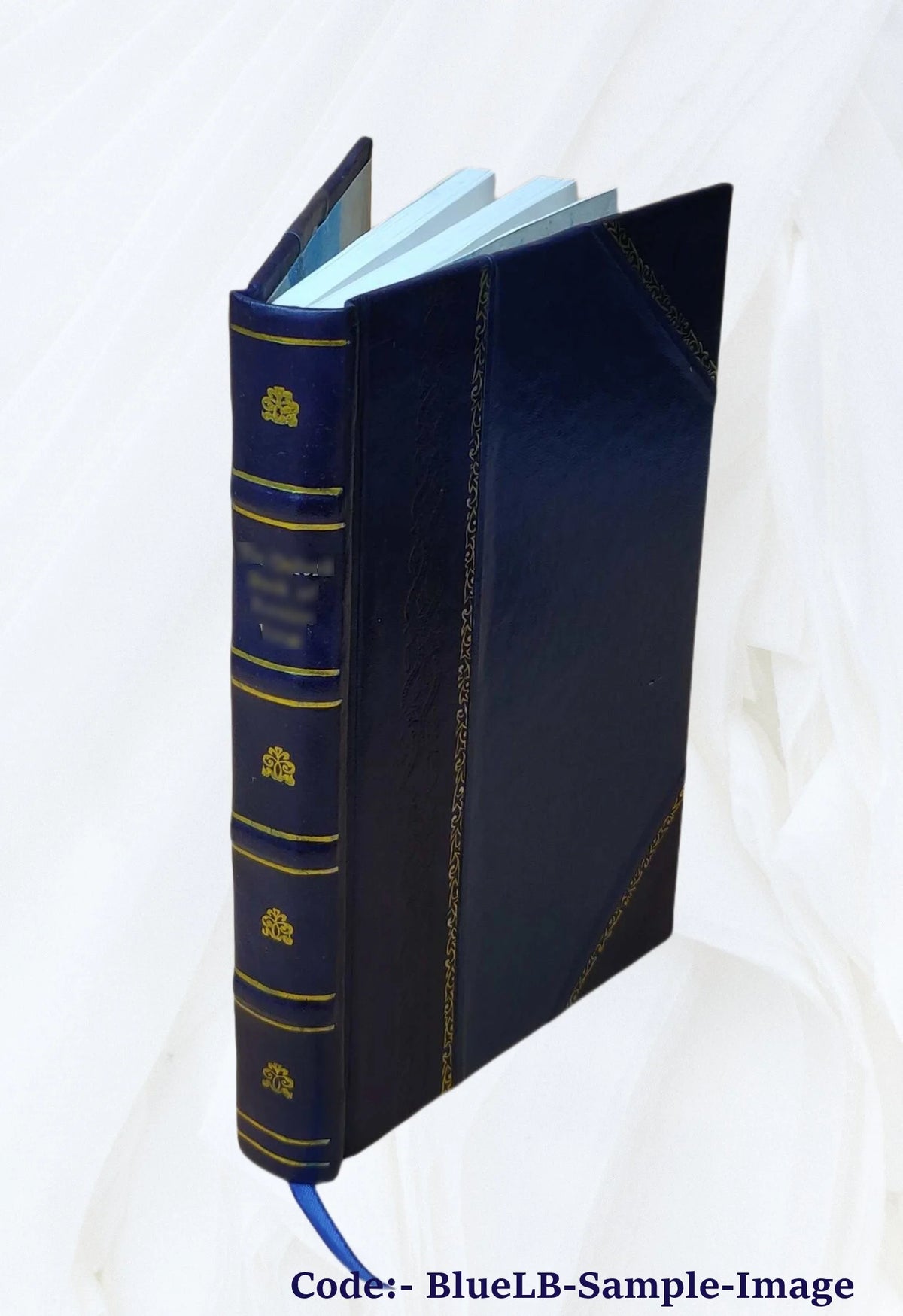 Leather Bound Book N944678