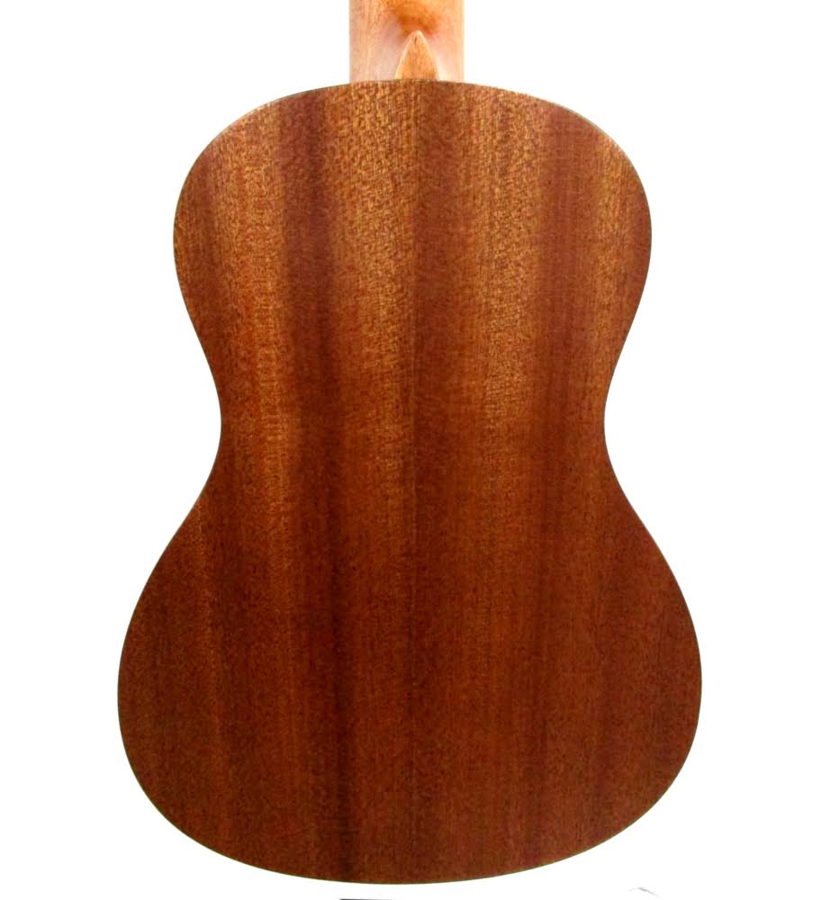 Concert Ukulele Package T50796