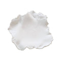 White Curled Wall Decor K348874