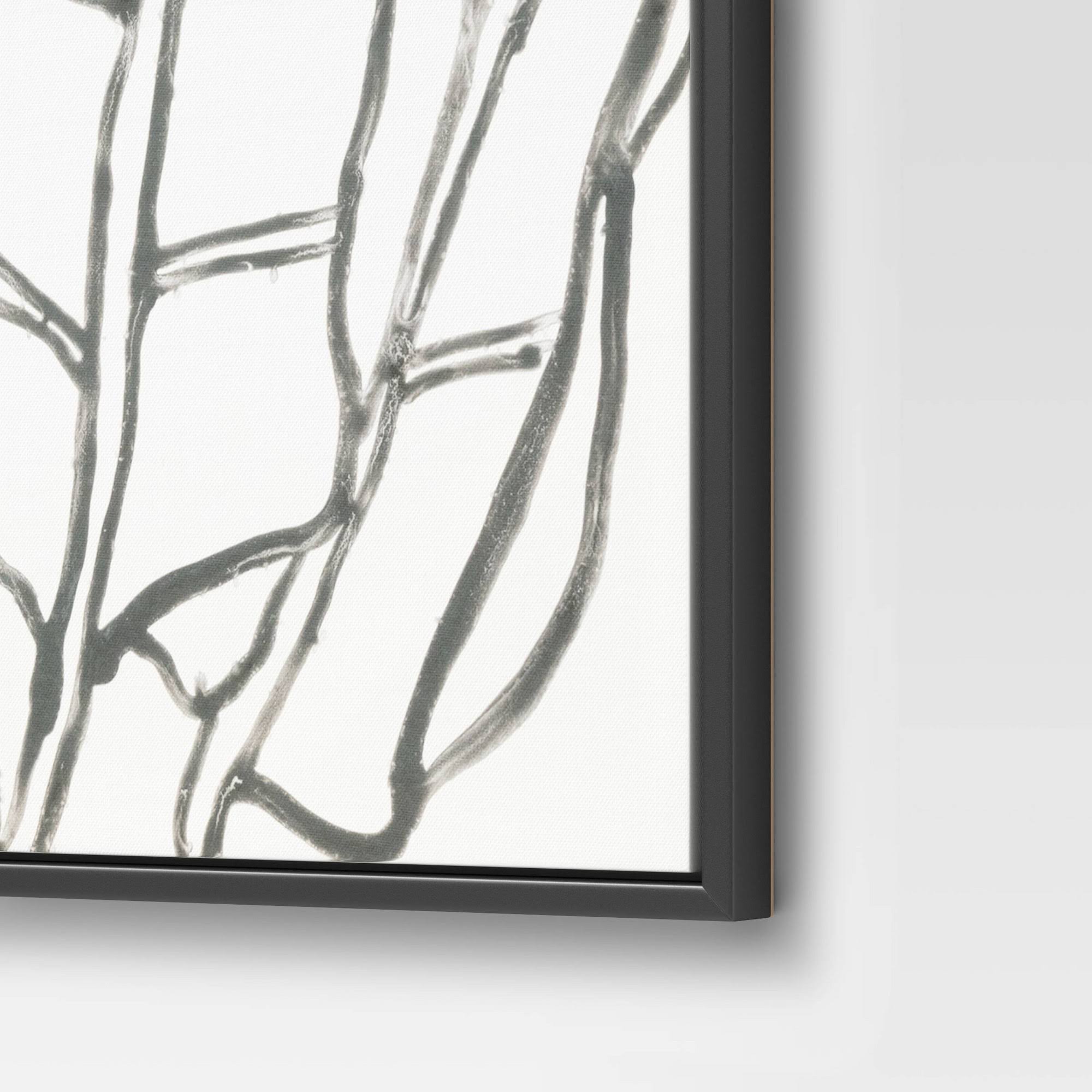 Botanical Sketch Framed Wall Canvas White/Black I586971