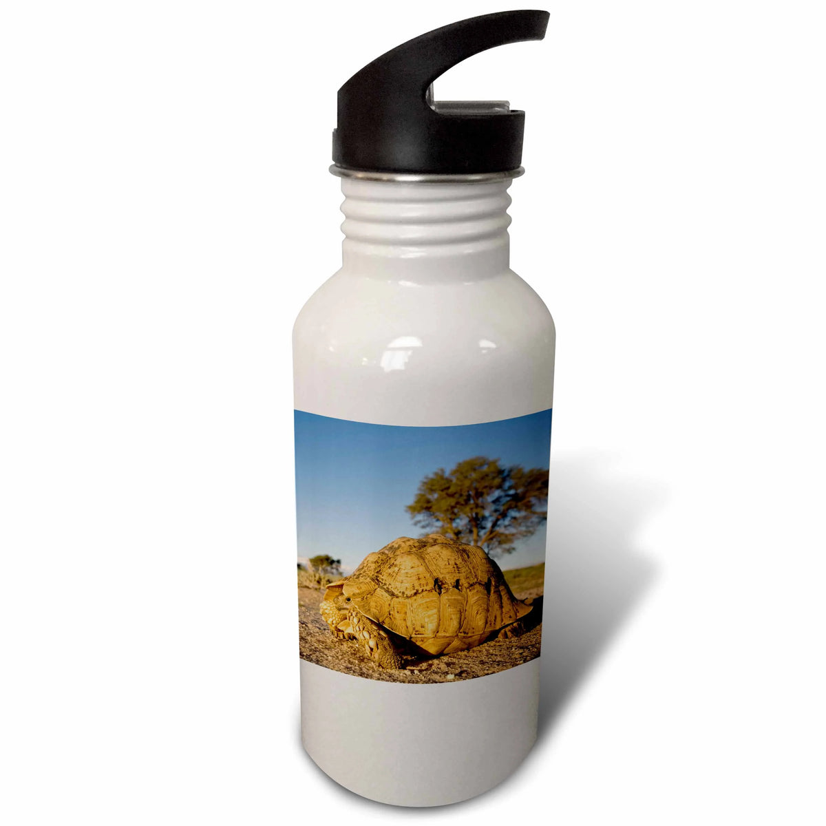 21 oz Sports Water Bottle W47318
