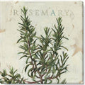 Green Canvas Giclee Print Z657742