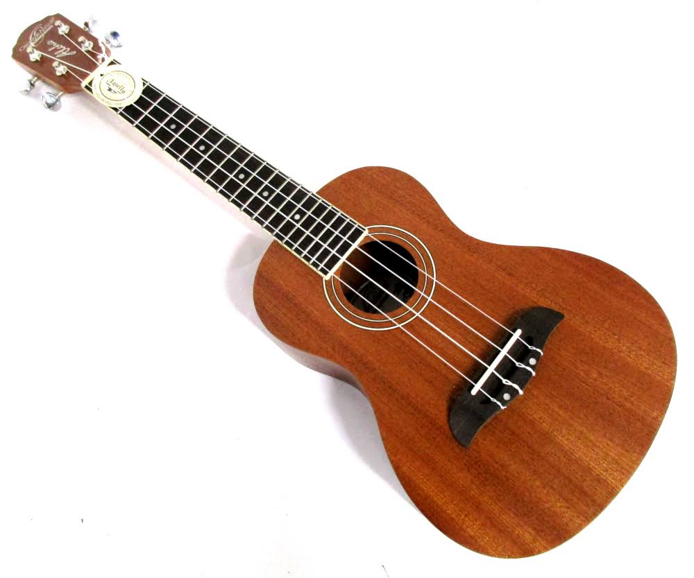 Concert Ukulele Package T50796