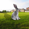 Children's Rabbit Animal Model Toy Educational Toys S479
