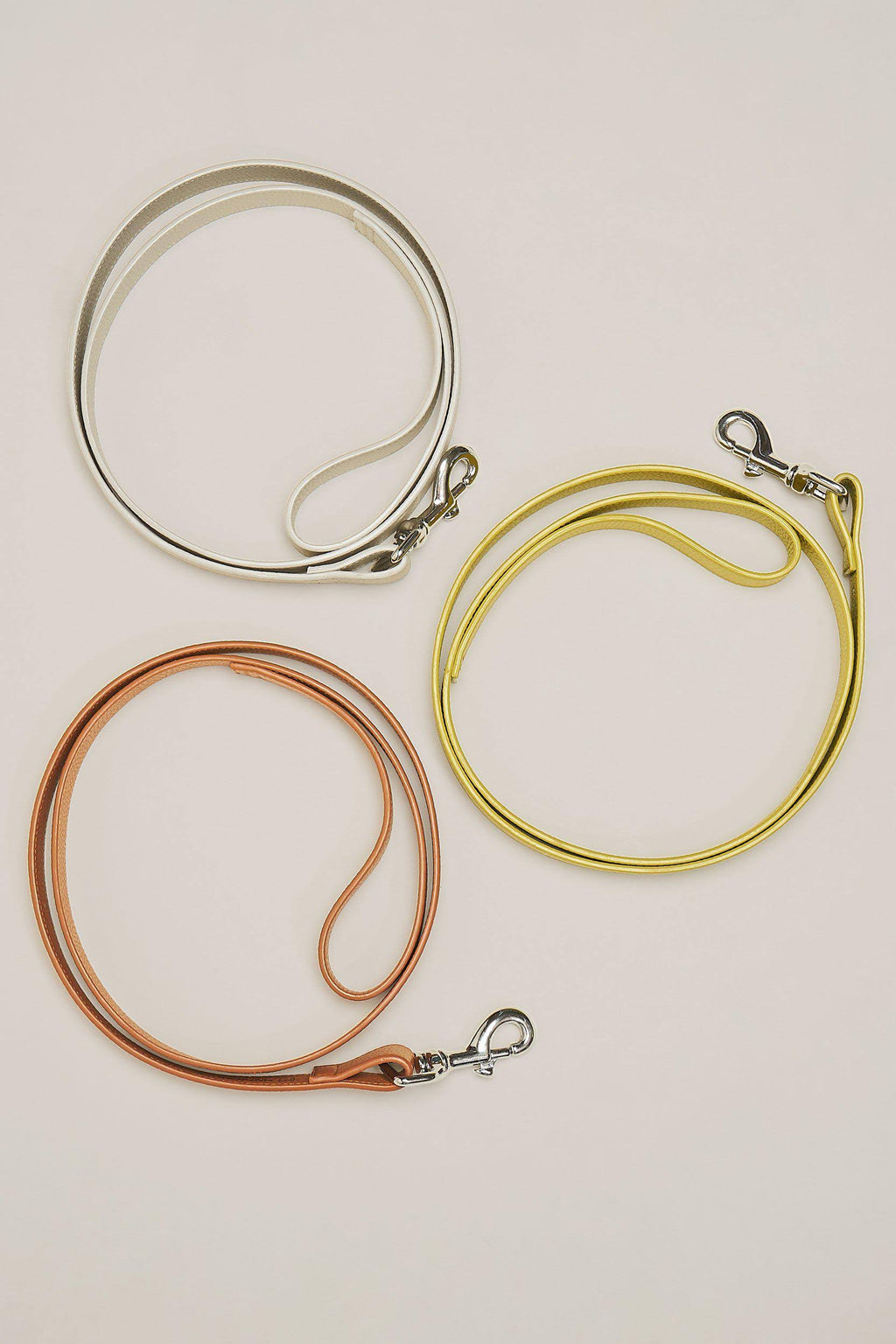 Chartreuse Dog Leash D97054