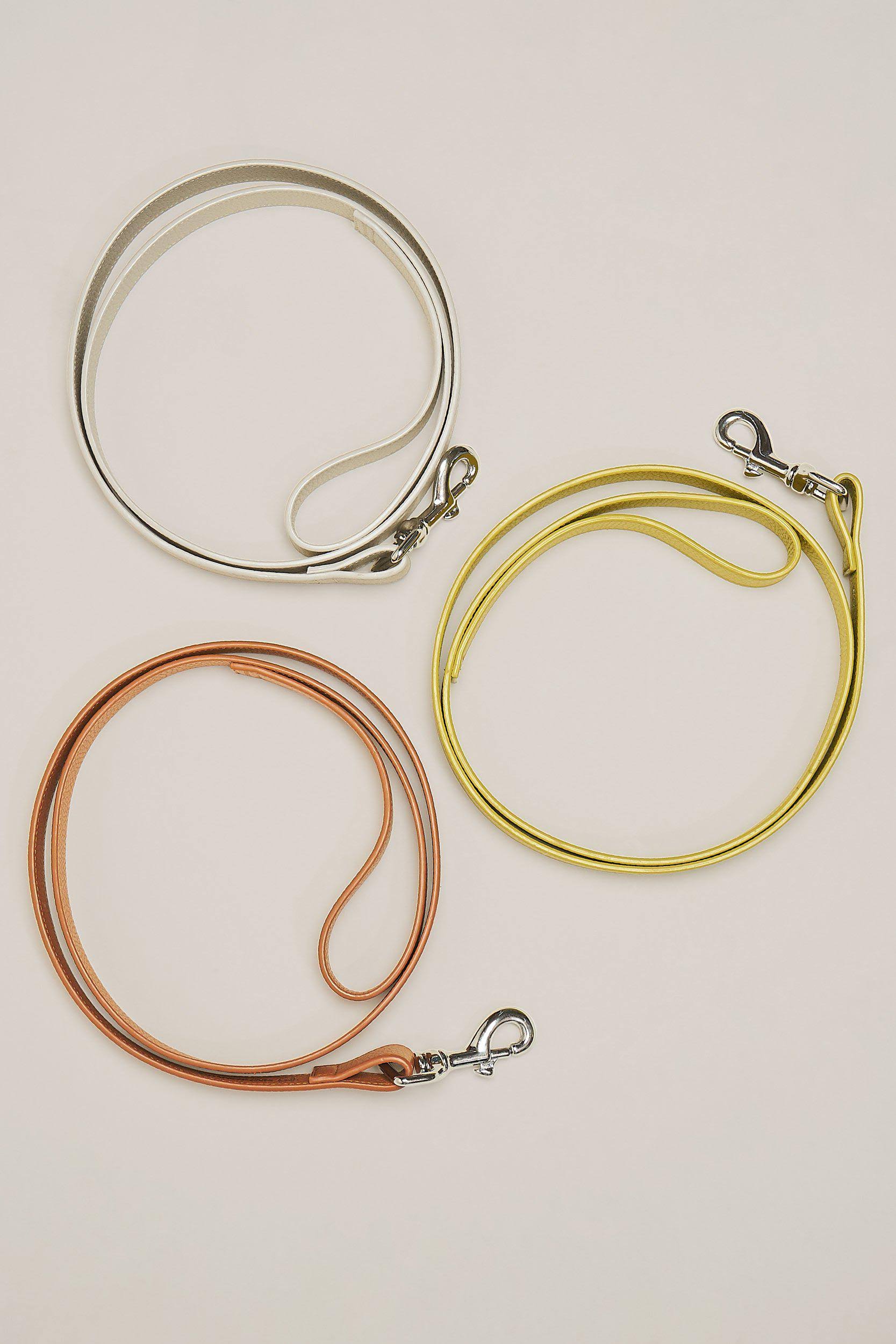 Chartreuse Dog Leash D97054