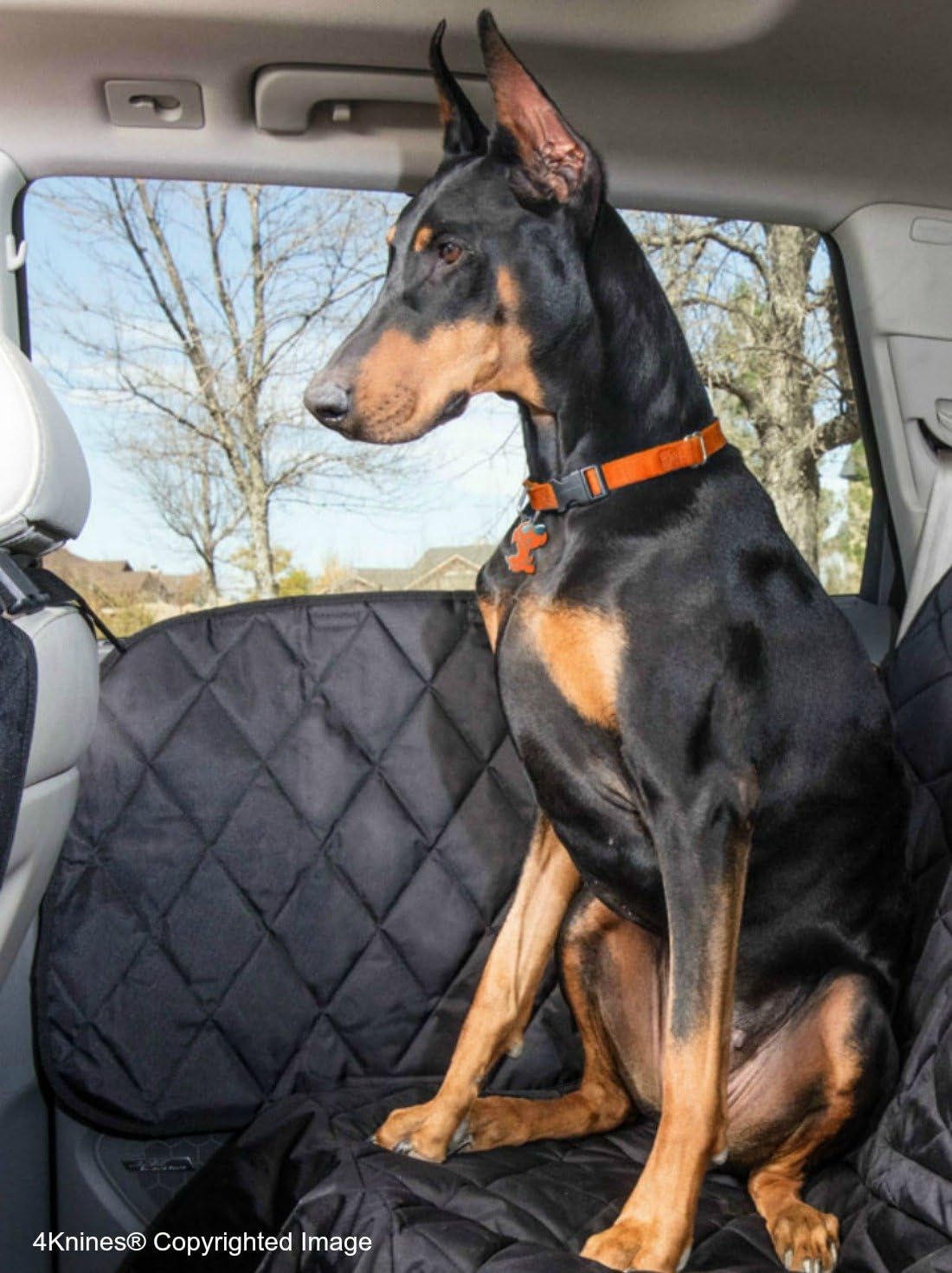 Dog Car Door Cover for Cars, Trucks and SUVs S29891