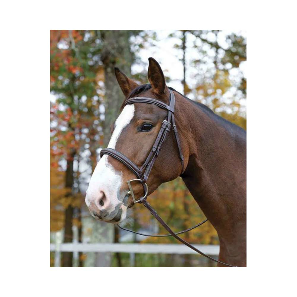Ocala Bridle H48304