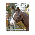 Ocala Bridle H48304