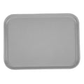 Gray Glasteel Fiberglass Rectangular Tray R392849