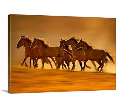 Canvas Print 16x22 O5350