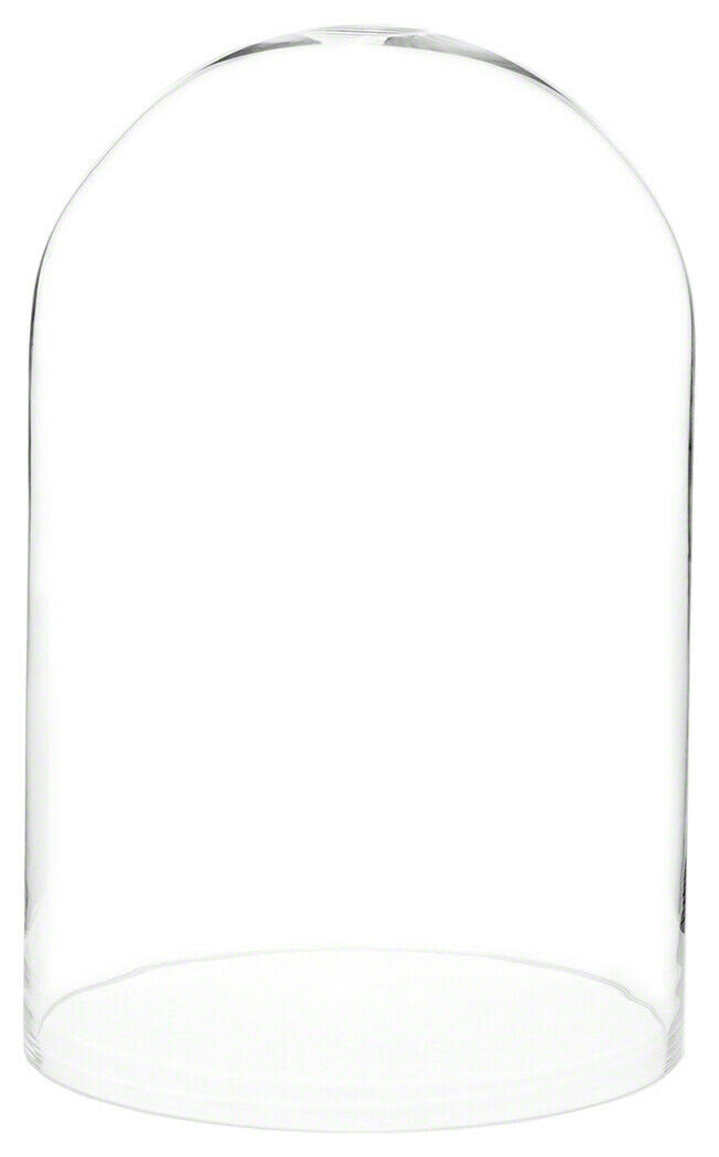 9.75x22 x 15x22 Glass Display Dome Cloche S931
