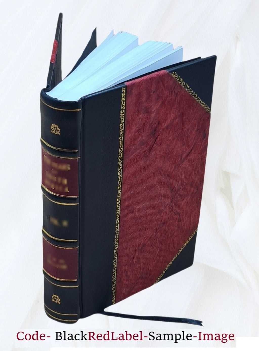 Leather Bound Book N944678