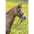 Padded Ergonomic Double Bridle N2340