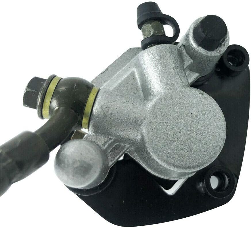 Rear Hydraulic Brake Caliper Assembly and Disc Rotor Kit Pack of 2 W24485